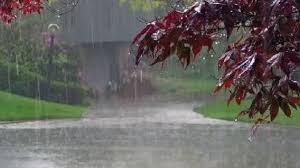 আগামী তিন দিন ত্রিপুরায় বৃষ্টিপাতের সম্ভাবনা